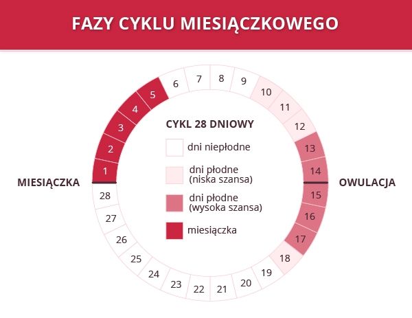 kalendarz dni plodnych pampers