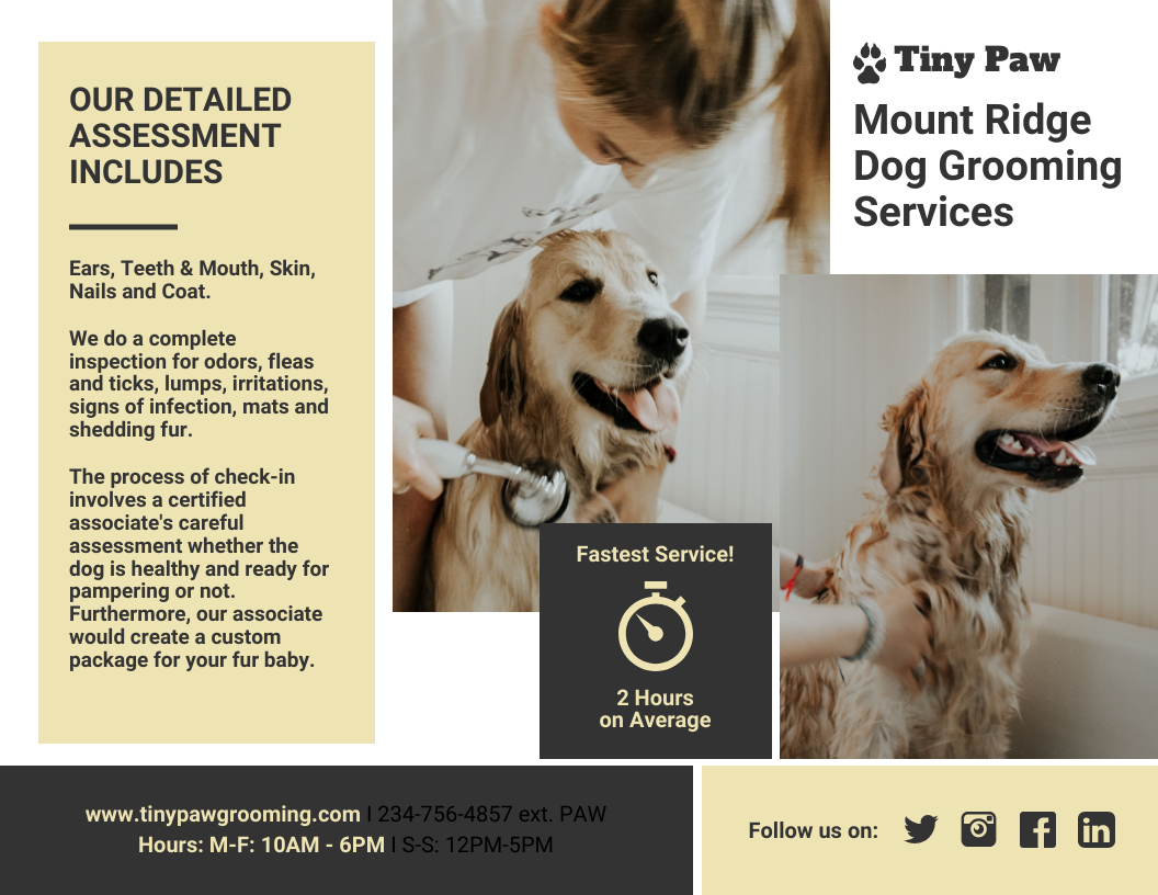 dog pampering services