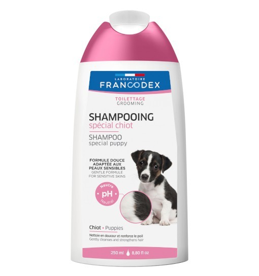 szampon nie szczypiący dla psa