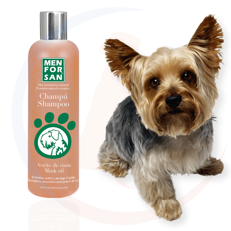 szampon dla psów z olejem norkowym