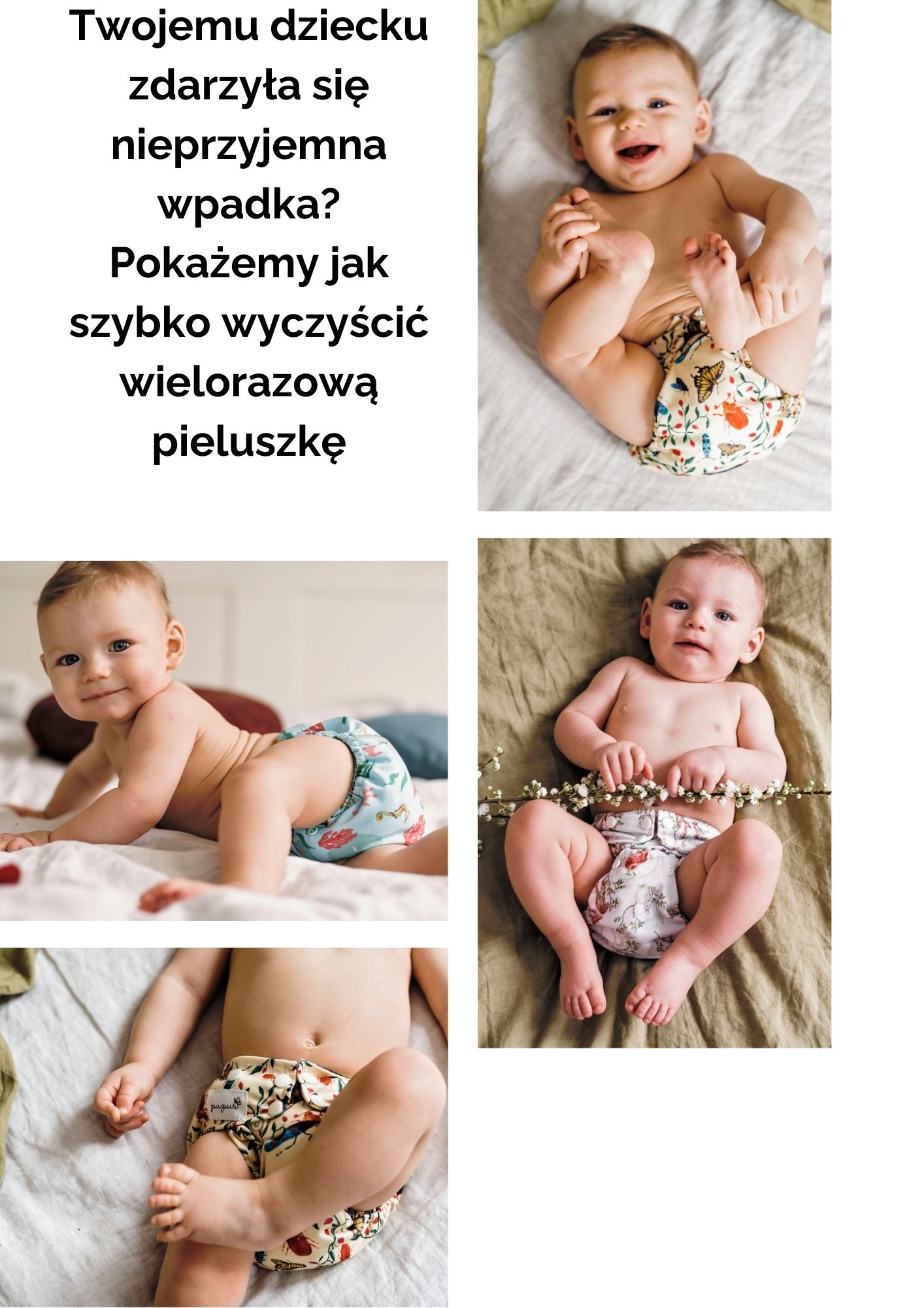 pieluchy dla psa olx piaseczno