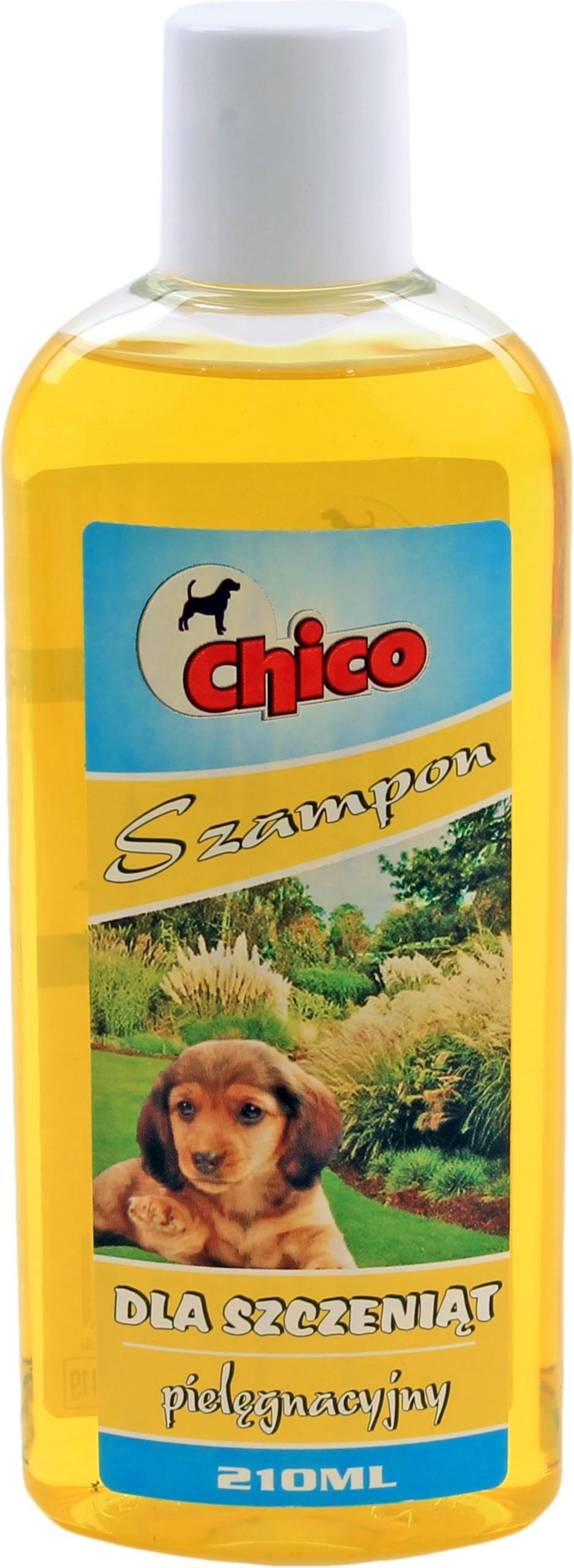 szampon chicco dla psa