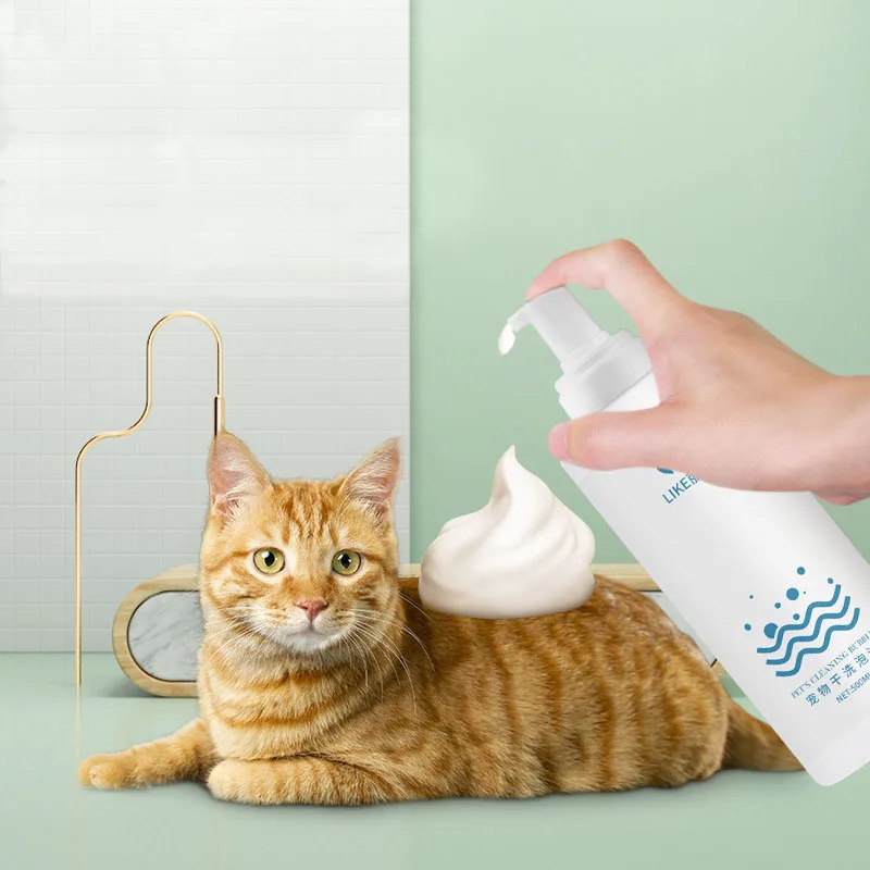 szampon dla kotów bez wody
