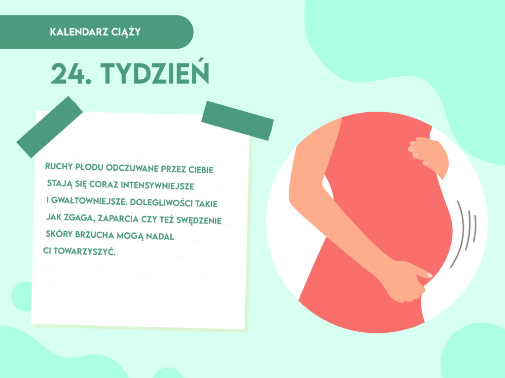 ciąża 24 tydzień pampers