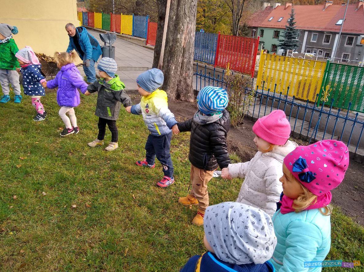 odżywka do włosów z melisą cytrynową benecos