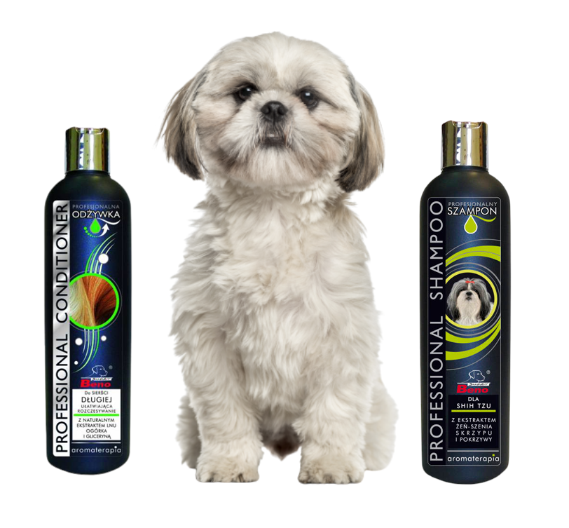 szampon dla shih tzu