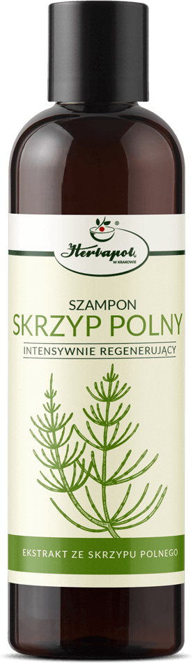 szampon skrzyp polny