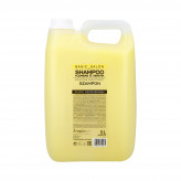 stapiz professional szampon keratynowo-kwiatowy do włosów 1000 ml