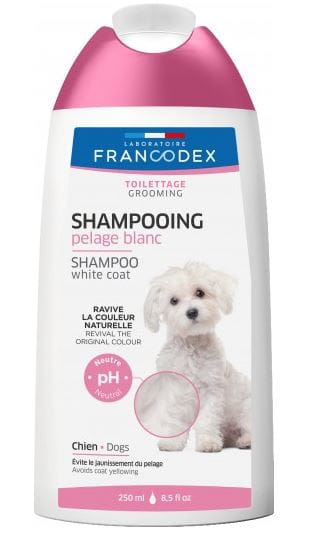 szampon dla białych psów