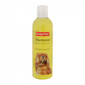 szampon na śmierdzącą sierść psa