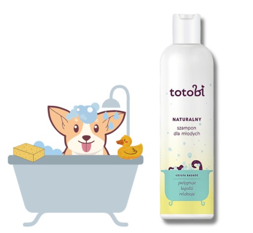 naturalny szampon dla kota
