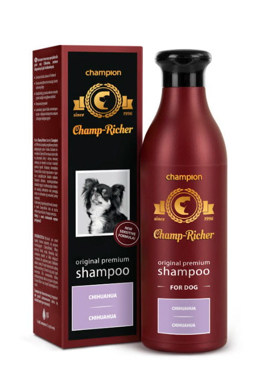 jaki szampon dla chihuahua