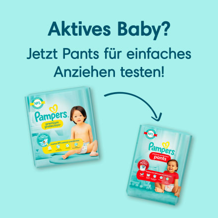 pampers premium protection 5 dm