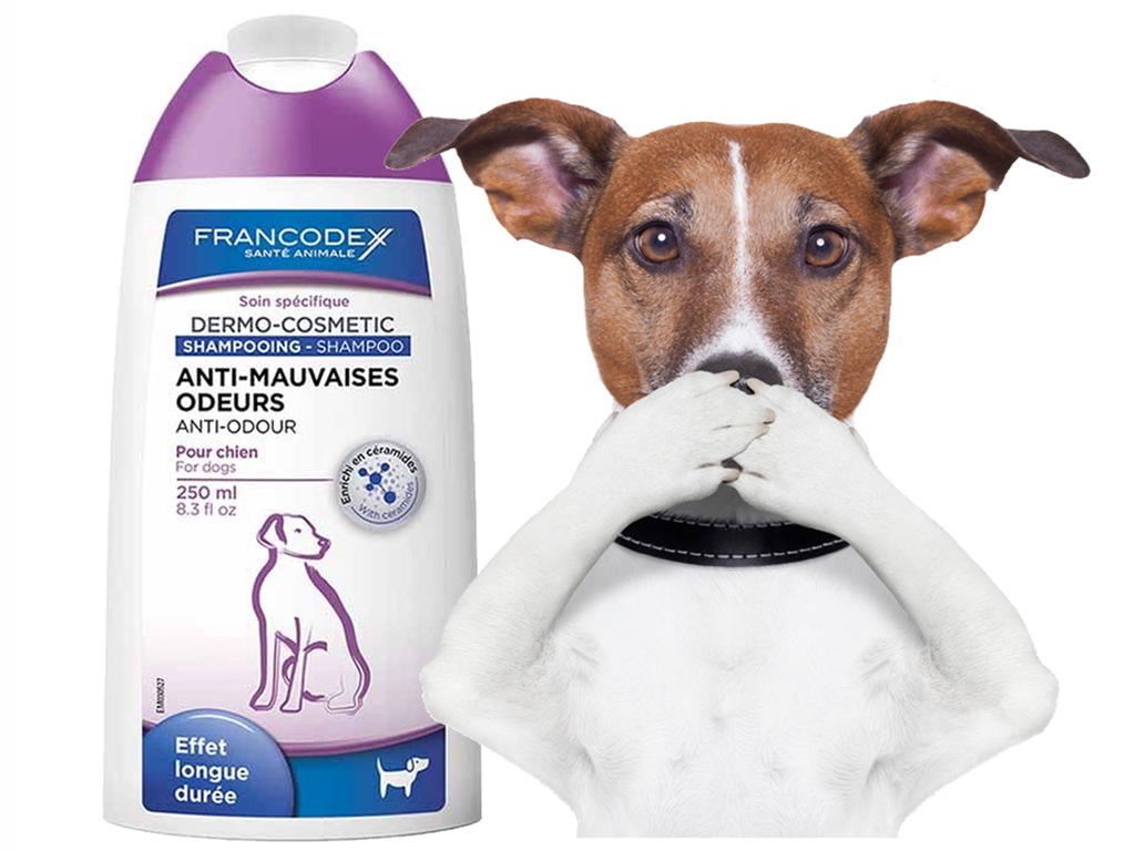 szampon ant odor dla psa
