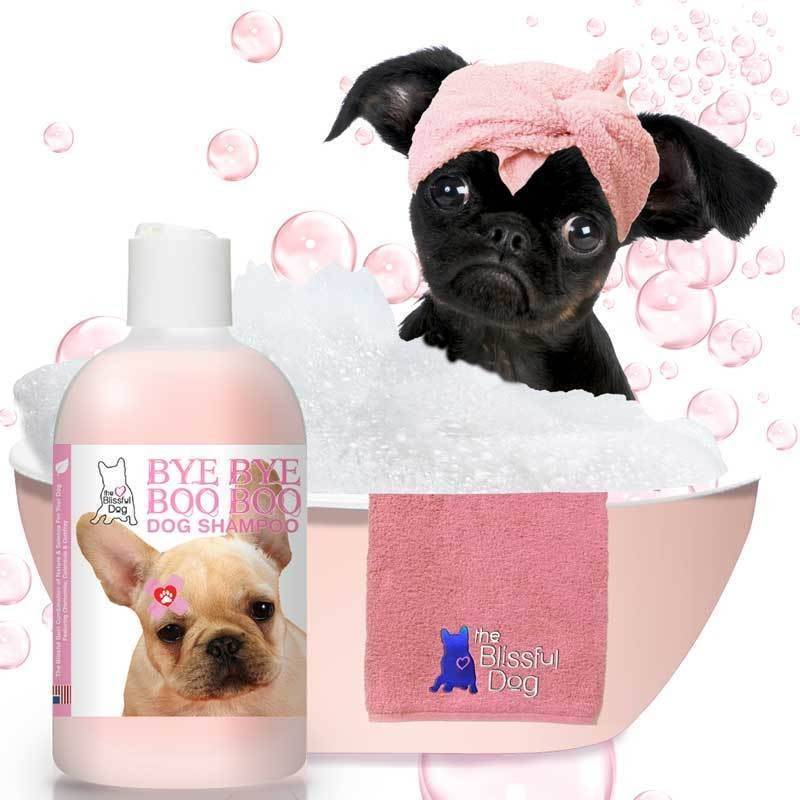 przepis na szampon dla psa