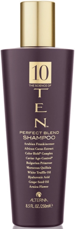 alterna ten perfect blend szampon rewitalizujący opinion