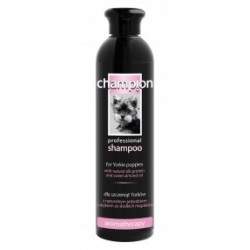 szampon champion do włosów