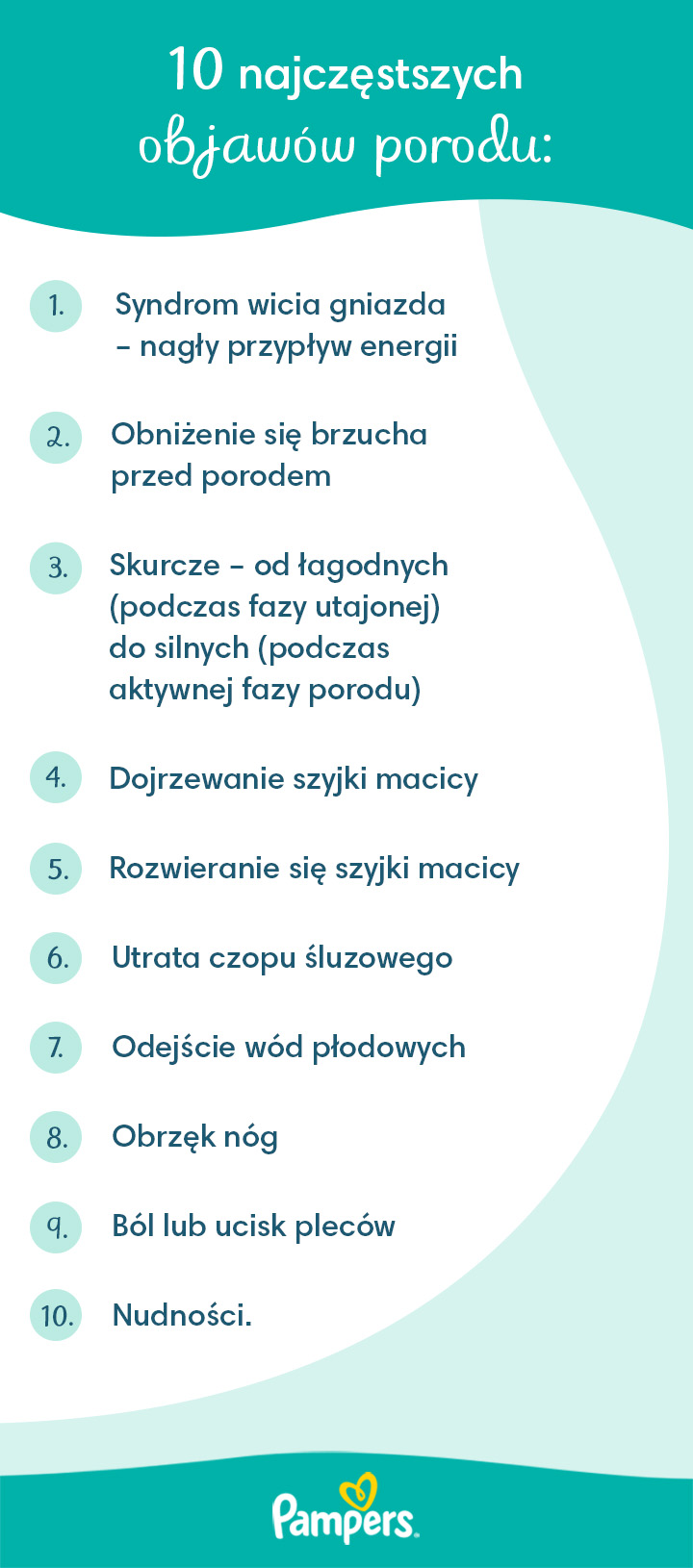 ciąża 24 tydzień pampers