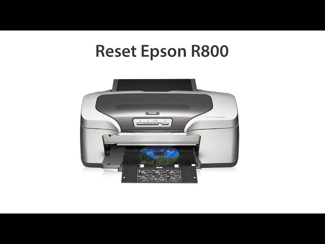 reset pampers epson r800