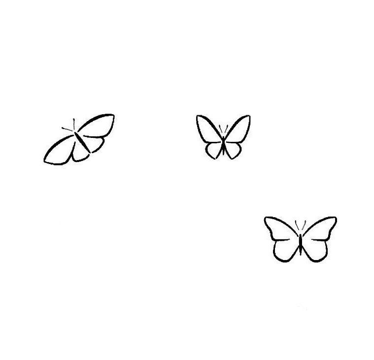 Little butterfly