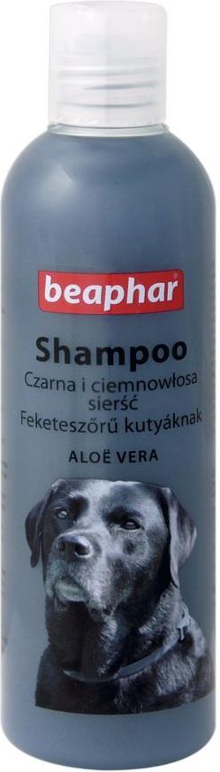 jak wybrać szampon dla psa czarnego z krótką sierścią