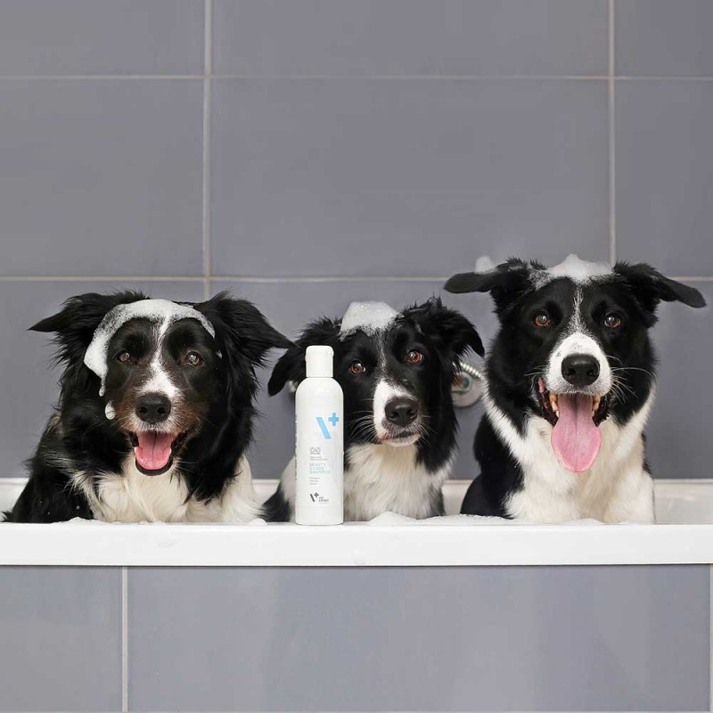 hypoalergiczny szampon dla psów vetexpert