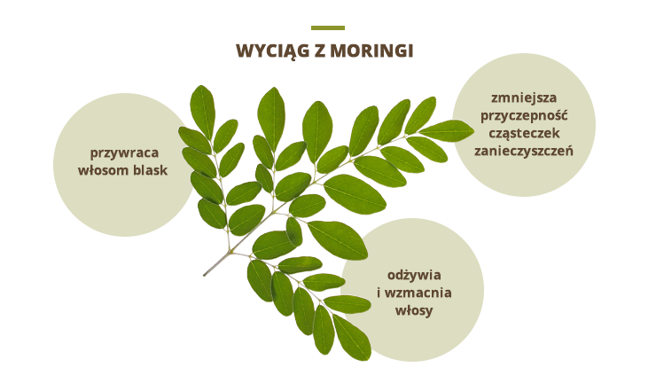 detoksykujący szampon micelarny z wyciągiem z moringi