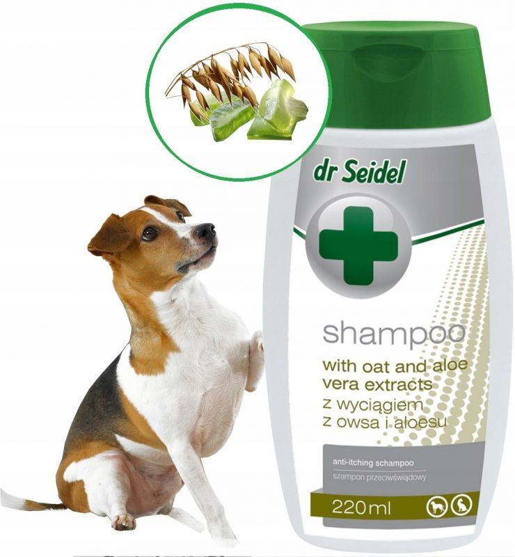 szampon dla psa apteka