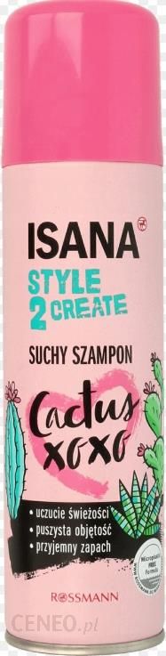 isana style create 2 suchy szampon