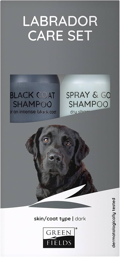 jaki szampon dla czarnego labradora