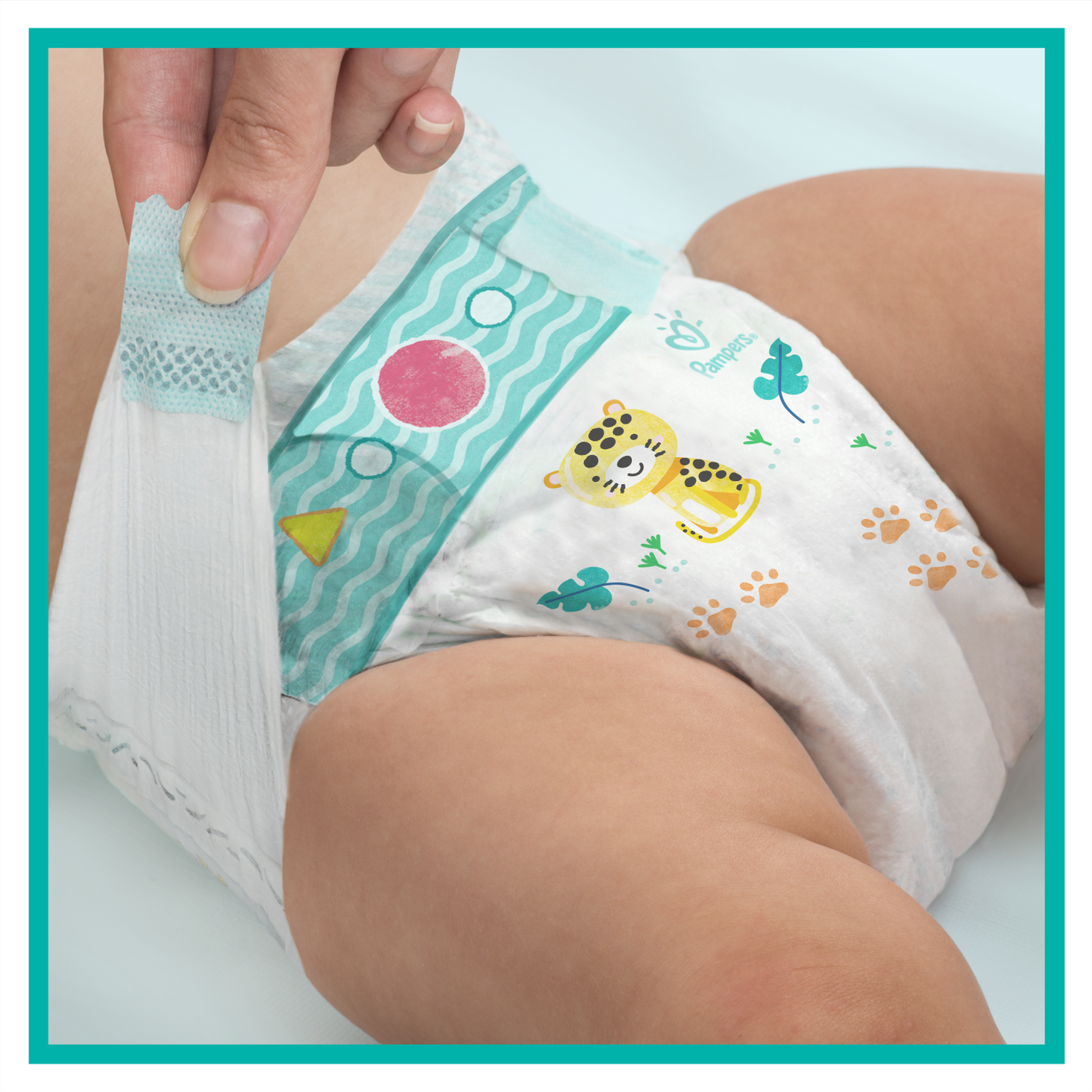 pampers 3 208 szt cena