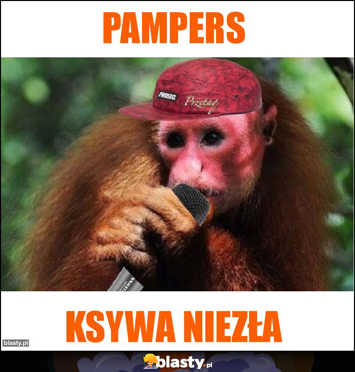 pampers śmieszne