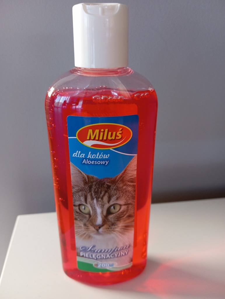 szampon dla kota rudy