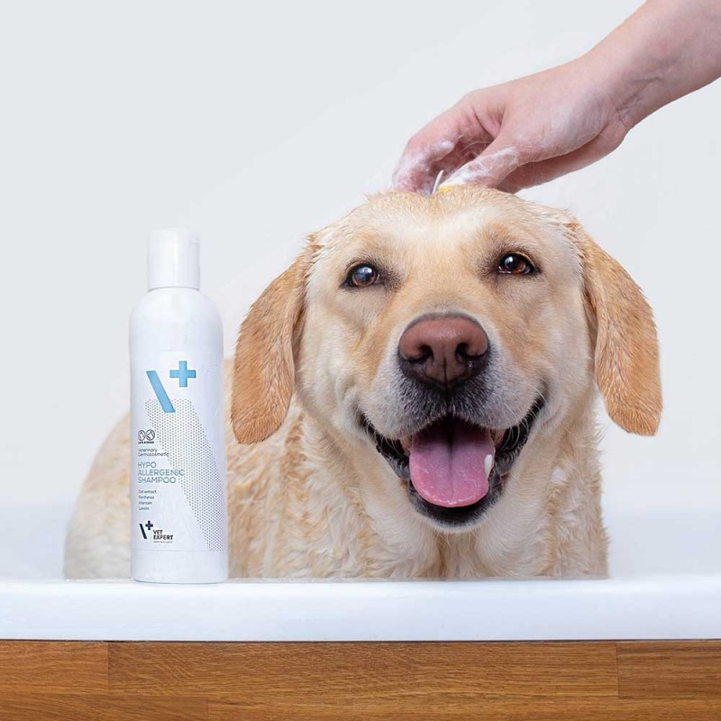 szampon dla psa vetexpert hypoallergenic