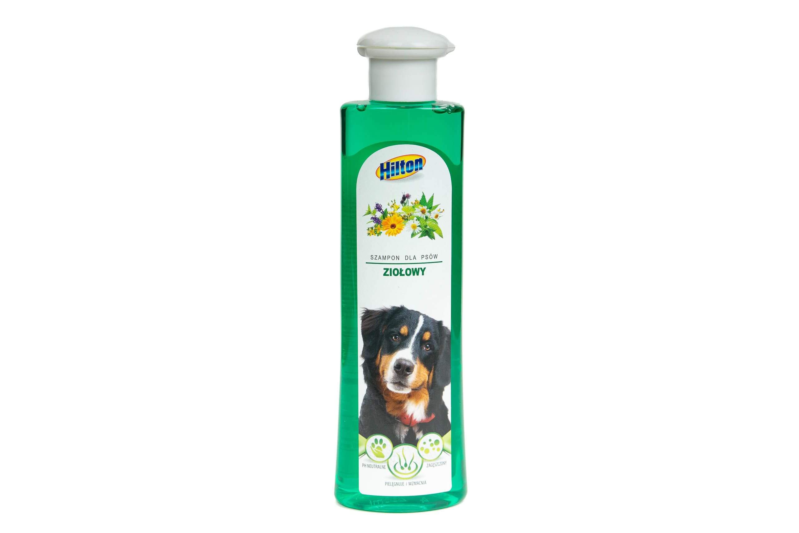 szampon dla psów ziołowy dla szczeniąt