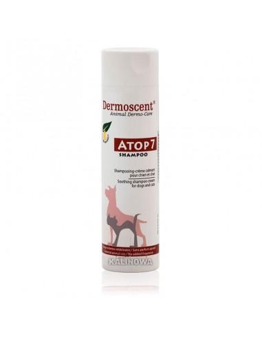 szampon na choroby skóry u psów