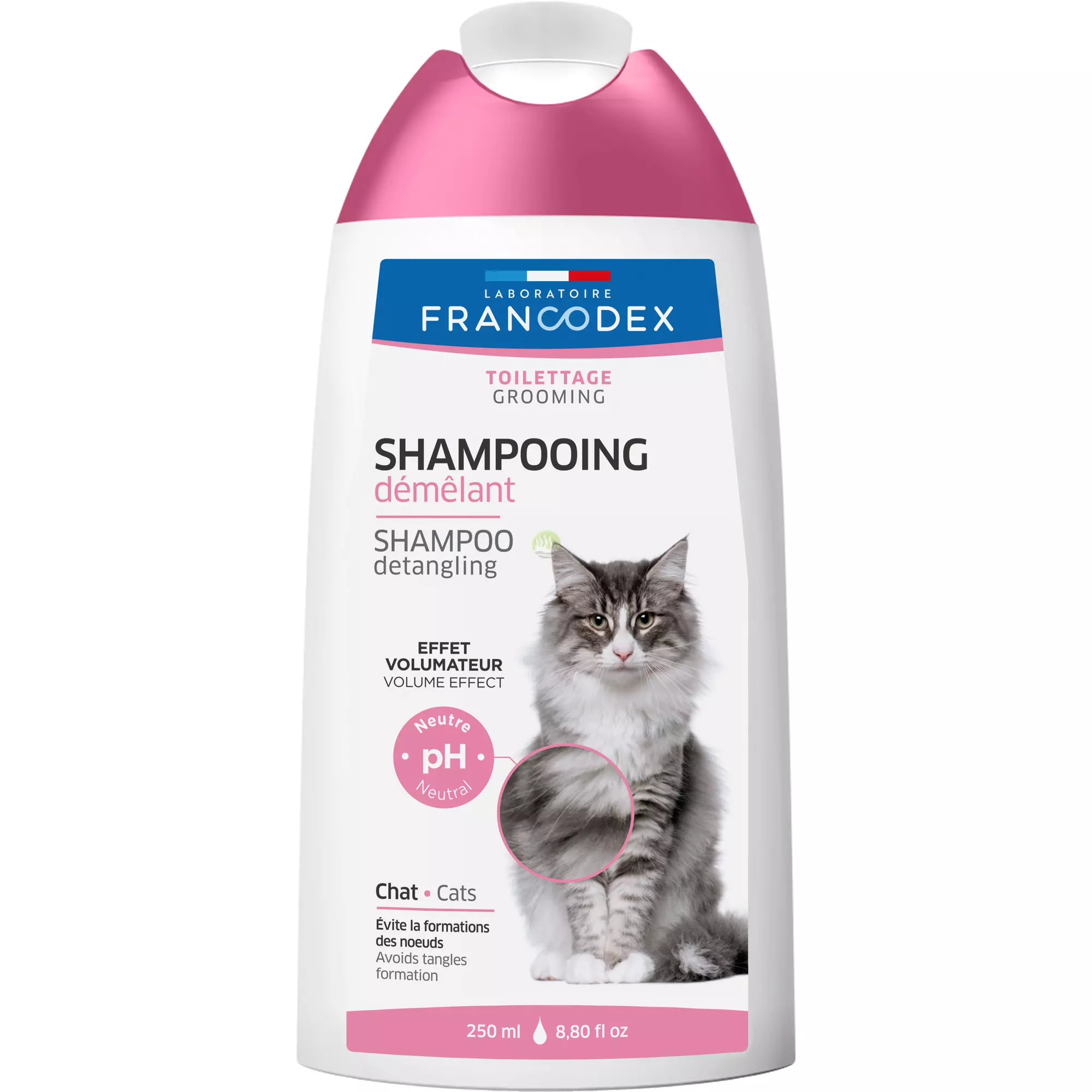 szampon odtłuszczający dla kota