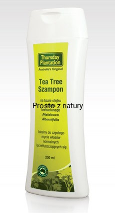 szampon tea tree