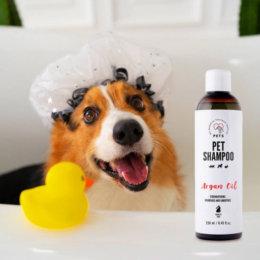 szampon z kaczuszką dla psa
